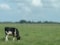Boerderijcamping; Wakker worden met uitzicht