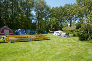 Speciaal veld voor groepen