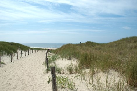 Noordzee en Strand vlakbij camping